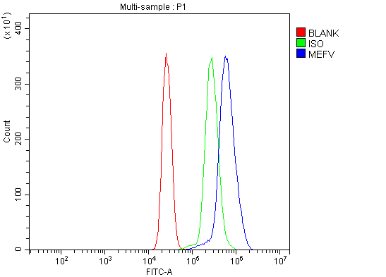 a00764 1 mefv primary antibodies fcm testing 4