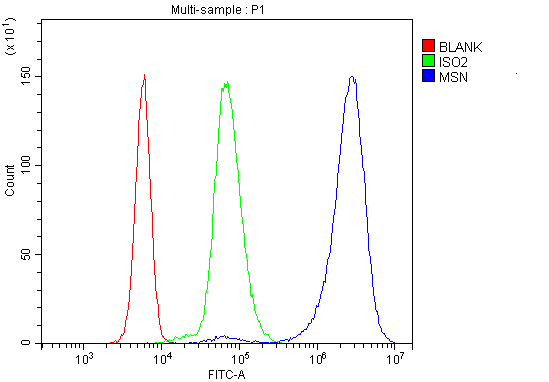 a00766 1 msn primary antibodies fcm testing 6
