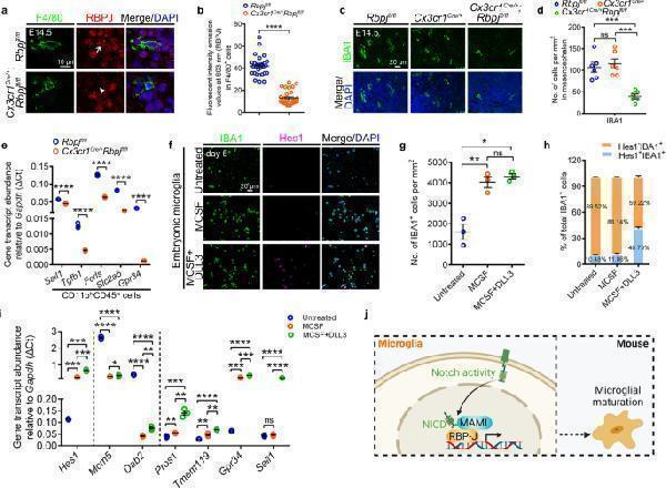 a00767 1 41467_2022_33836_fig8_html