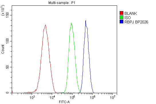 a00767 1 rbpj primary antibodies fc testing 2