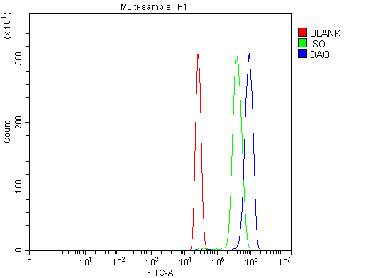  Flow Cytometry analysis of HL-60 cells using anti-DAO antibody (A00773-4)
