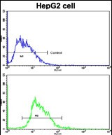 a00786 anti esr2 antibody center fc testing 2