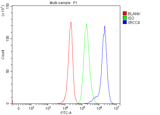 a00787 2 xrcc4 primary antibodies fcm testing 10