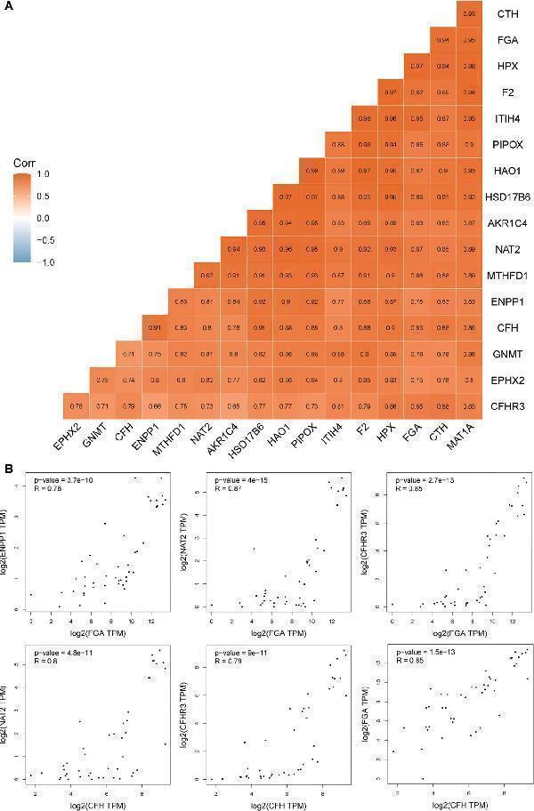 a00816 3 fonc 11 621806 g006