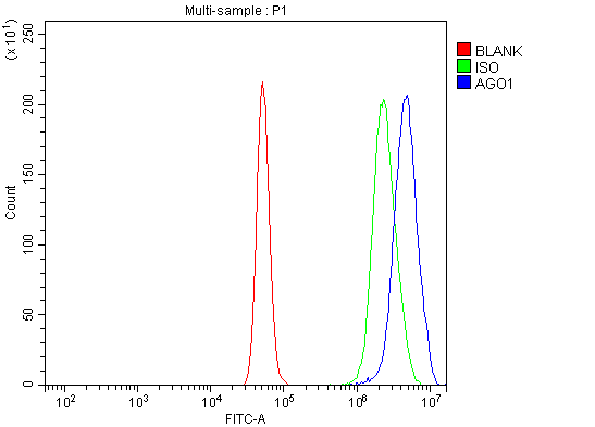  Flow Cytometry analysis of A431 cells using anti-AGO1 antibody (A00826-3)
