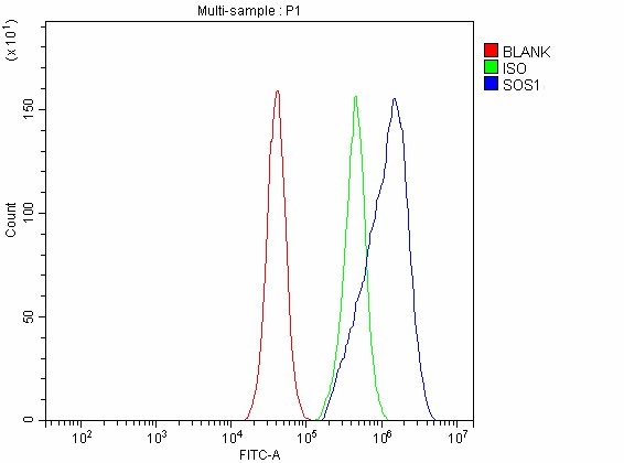 a00837 1 sos1 primary antibodies fcm testing 9