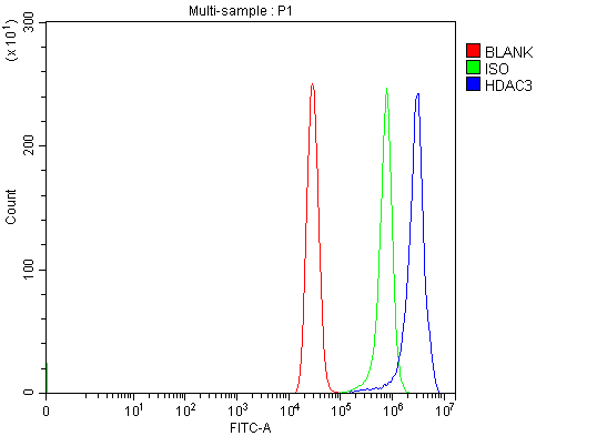 a00839 hdac3 primary antibodies fcm testing 2