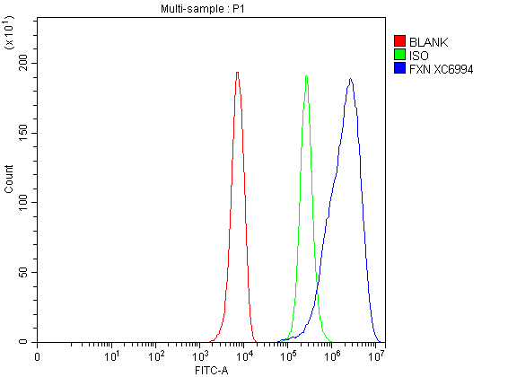 a00842 1 fxn primary antibodies fcm testing 1