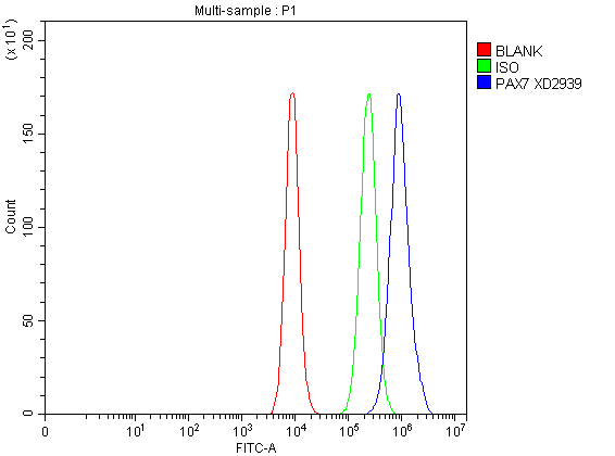 Flow Cytometry analysis of CACO-2 cells using anti-PAX7 antibody (A00845-2)