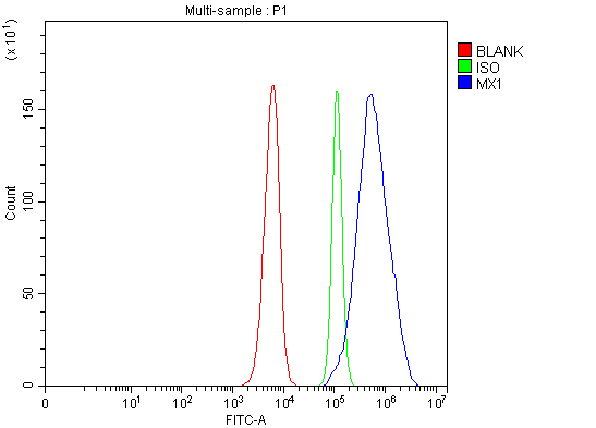 Flow Cytometry analysis of SiHa cells using anti-MX1 antibody (A00849-3)