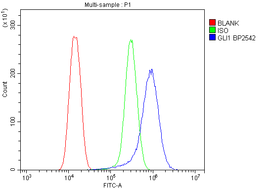 a00850 1 lgi1 primary antibodies fcm testing 2