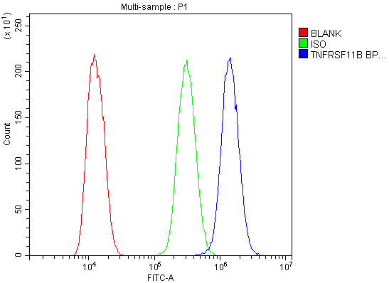 a00863 tnfrsf11b primary antibodies fc testing 24