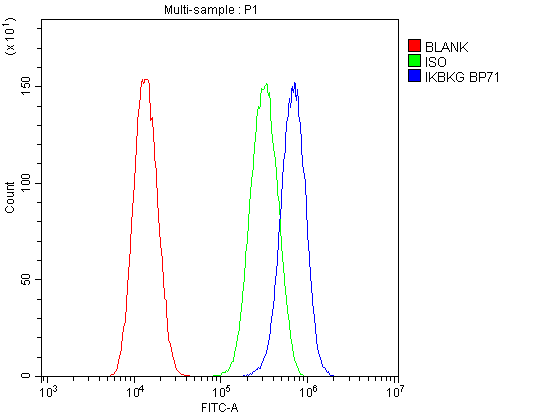 Flow Cytometry analysis of U87 cells using anti-IKK gamma antibody (A00874). Overlay histogram showing U87 cells stained with A00874 (Blue line).The cells were blocked with 10% normal goat serum. And then incubated with rabbit anti-IKK gamma Antibody (A00874,1μg/1x106 cells) for 30 min at 20°C. DyLight®488 conjugated goat anti-rabbit IgG (BA1127, 5-10μg/1x106 cells) was used as secondary antibody for 30 minutes at 20°C. Isotype control antibody (Green line) was rabbit IgG (1μg/1x106) used under the same conditions. Unlabelled sample (Red line) was also used as a control.