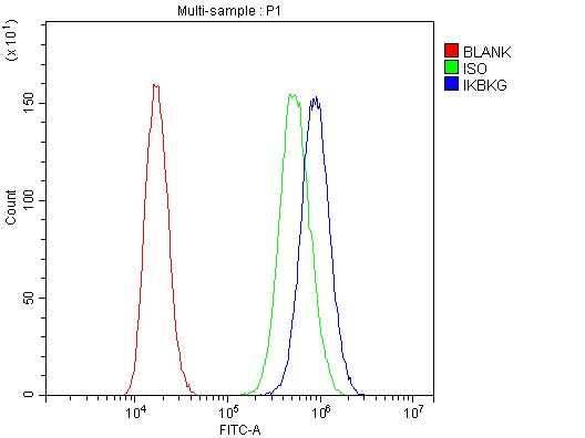 Flow Cytometry analysis of PC-3 cells using anti-IKK gamma antibody (A00874). Overlay histogram showing PC-3 cells stained with A00874 (Blue line).The cells were blocked with 10% normal goat serum. And then incubated with rabbit anti-IKK gamma Antibody (A00874,1μg/1x106 cells) for 30 min at 20°C. DyLight®488 conjugated goat anti-rabbit IgG (BA1127, 5-10μg/1x106 cells) was used as secondary antibody for 30 minutes at 20°C. Isotype control antibody (Green line) was rabbit IgG (1μg/1x106) used under the same conditions. Unlabelled sample (Red line) was also used as a control.