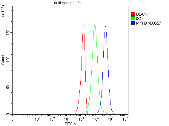 a00880 2 myh9 primary antibodies fcm testing 1