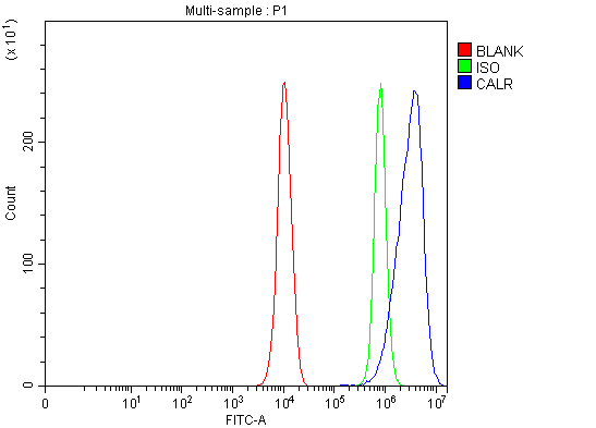 a00894 2 calr primary antibodies fcm testing 15