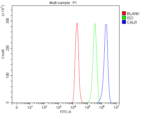 a00894 2 calr primary antibodies fcm testing 16