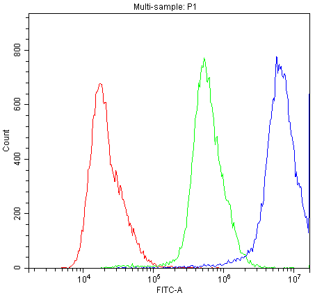 a00895 1 abcc8 primary antibodies fc testing 2