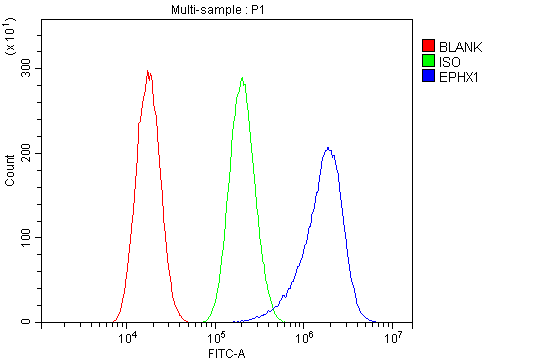  Flow Cytometry analysis of A549 cells using anti-Epoxide hydrolase/EPHX1 antibody (A00899-1)