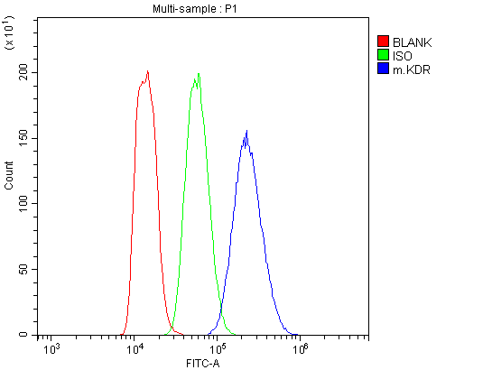 a00901 3 vegf_receptor_2 primary antibodies fcm testing 5