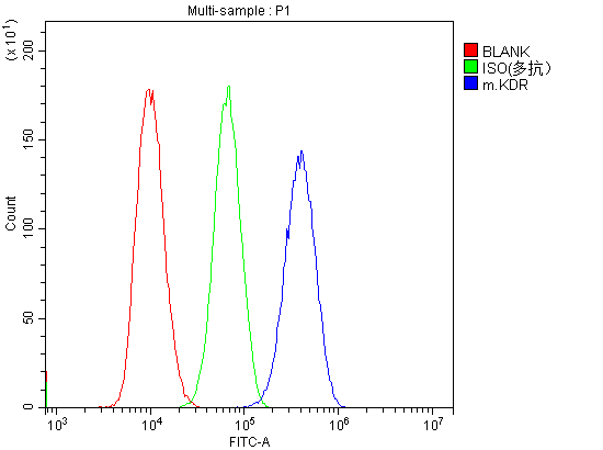 a00901 3 vegf_receptor_2 primary antibodies fcm testing 6