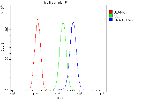 a00909 orai1 primary antibodies fc testing 3