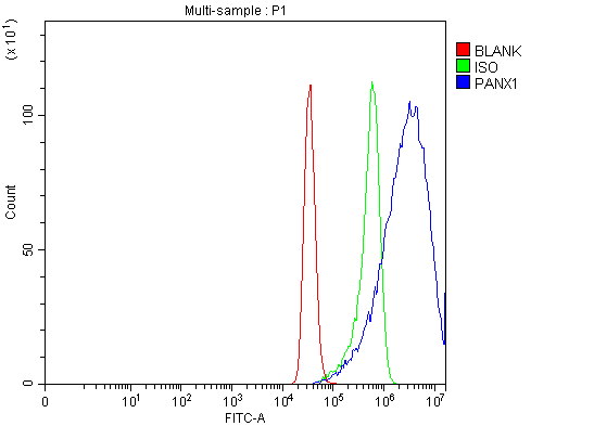 a00915 2 panx1 primary antibodies fcm testing 3
