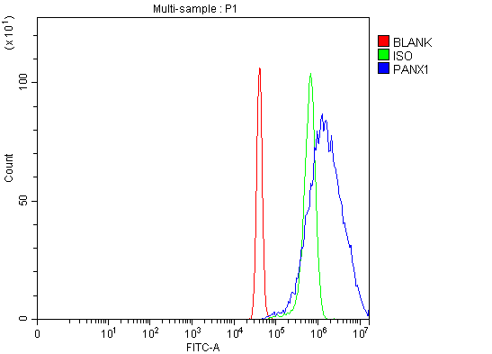a00915 2 panx1 primary antibodies fcm testing 4