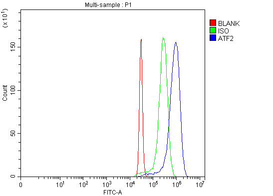a00916 2 atf2 primary antibodies fcm testing 2
