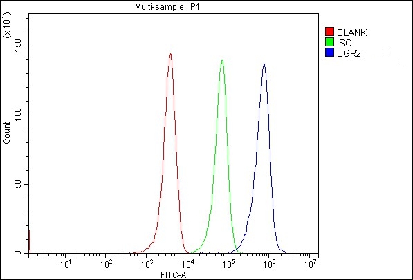 a00921 1 egr2 primary antibodies fcm testing 2
