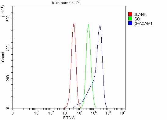  Flow Cytometry analysis of HEPA1-6 cells using anti-CEACAM1 antibody (A00923-3)