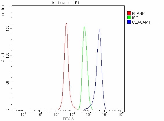 a00923 3 ceacam1 primary antibodies fcm testing 4