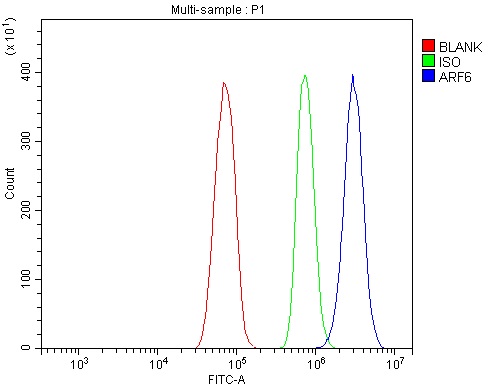  Flow Cytometry analysis of RH35 cells using anti-ARF6 antibody (A00927-2)