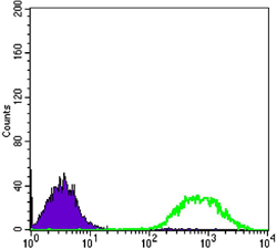 a00931 1 ets1 primary antibodies fcm testing 1