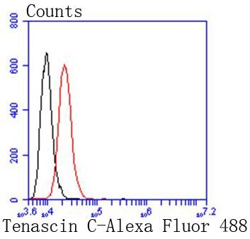 Flow cytometric analysis of SH-SY-5Y cells with Tenascin C antibody at 1/50 dilution (red) compared with an unlabelled control (cells without incubation with primary antibody; black)