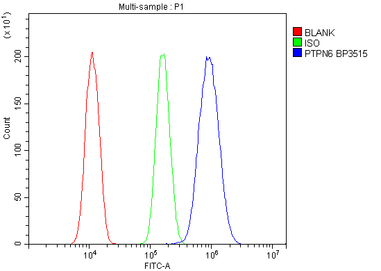  Flow Cytometry analysis of A431 cells using anti-SHP1/PTPN6 antibody (A00938-3)