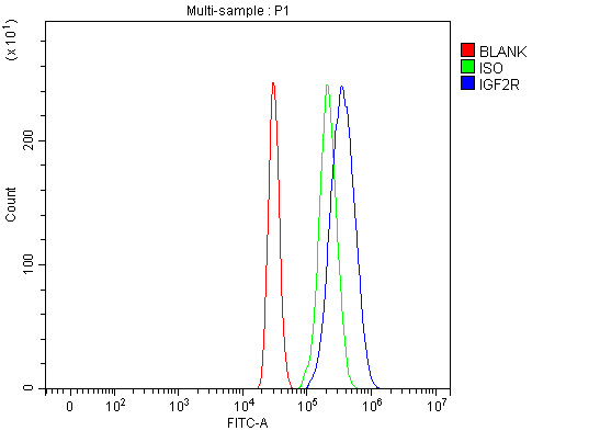 a00951 igf2r primary antibodies fcm testing 7_1