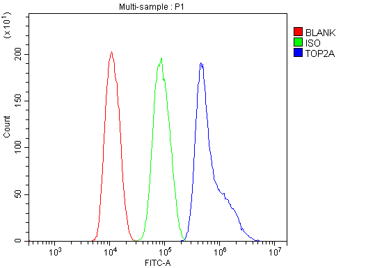 a00953 top2a primary antibodies fcm testing 1