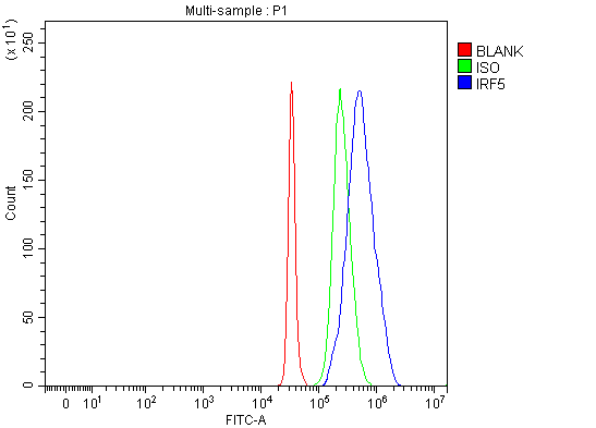  Flow Cytometry analysis of SH-SY5Y cells using anti-IRF5 antibody (A00958-1)