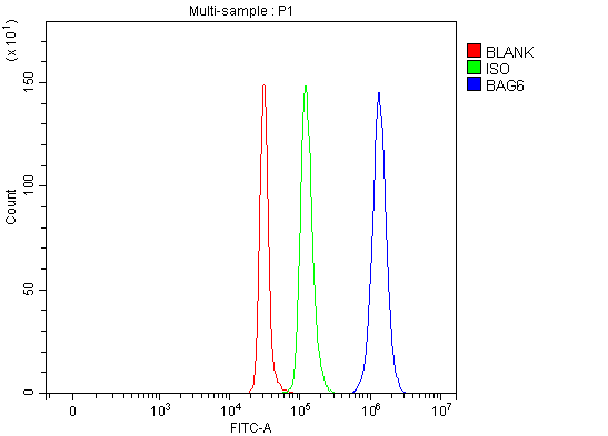 a00967 1 bag6 primary antibodies fcm testing 5