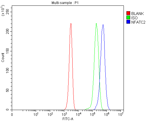 Flow Cytometry analysis of Jurkat cells using anti-NFAT1/NFATC2 antibody (A00969)