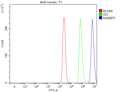 a00981 1 ranbp2 primary antibodies fcm testing 9_1