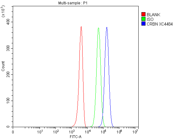  Flow Cytometry analysis of 293T cells using anti-CRBN antibody (A00983-1)