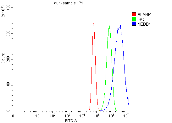 a00984 3 nedd4 primary antibodies fcm testing 8