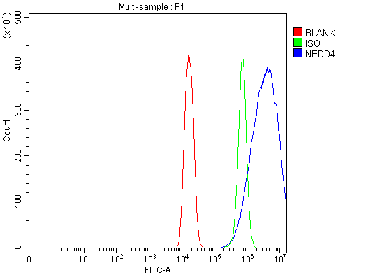 a00984 4 nedd4 primary antibodies fcm testing 6
