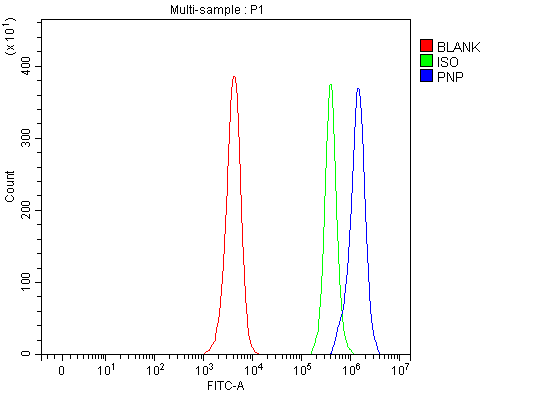  Flow Cytometry analysis of JK cells using anti-PNP antibody (A00988-2)