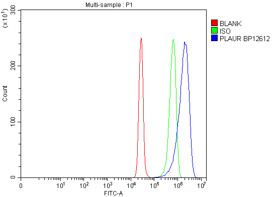  Flow Cytometry analysis of SiHa cells using anti-uPA Receptor antibody (A00993-3)