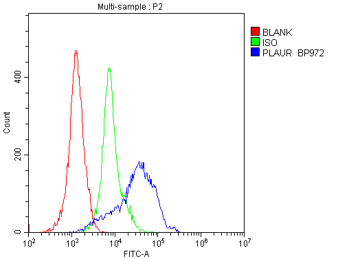 Flow Cytometry analysis of H-PBMC cells using anti-uPA Receptor antibody (A00993-3). Overlay histogram showing H-PBMC cells stained with A00993-3 (Blue line).The cells were blocked with 10% normal goat serum. And then incubated with rabbit anti-uPA Receptor Antibody (A00993-3,1μg/1x106 cells) for 30 min at 20°C. DyLight®488 conjugated goat anti-rabbit IgG (BA1127, 5-10μg/1x106 cells) was used as secondary antibody for 30 minutes at 20°C. Isotype control antibody (Green line) was rabbit IgG (1μg/1x106) used under the same conditions. Unlabelled sample (Red line) was also used as a control.