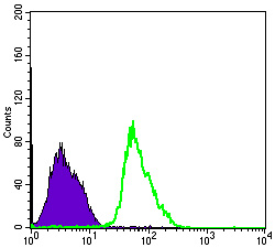 Flow cytometric analysis of PC-2 cells using AMPKα1 Monoclonal Antibody (green) and negative control (purple)
