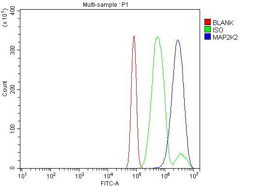  Flow Cytometry analysis of RH35 cells using anti-MEK2/MAP2K2 antibody (A00996-3)